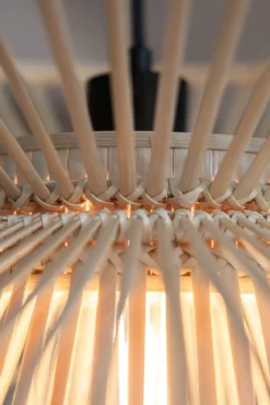 Duplici Taklampa Natur