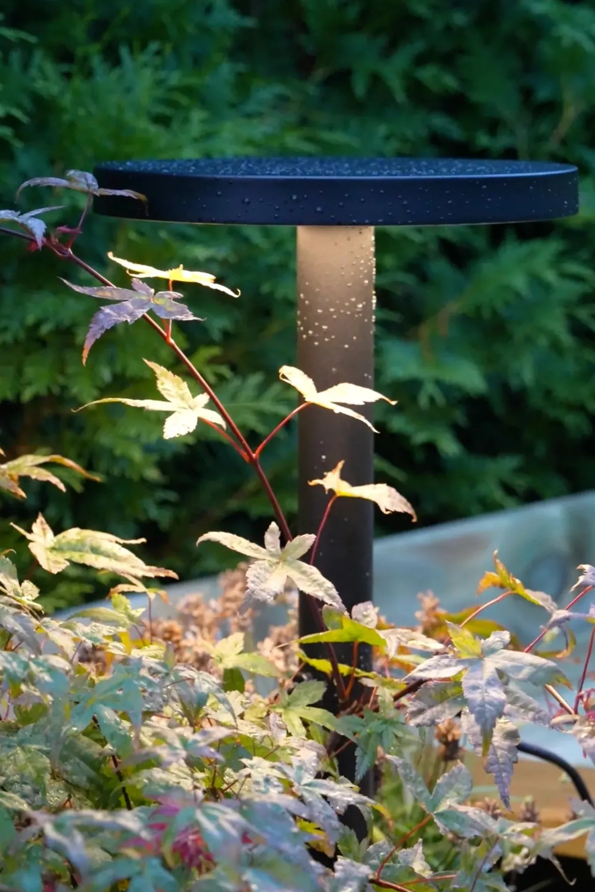 Garden 24 Downlight Svart 5W