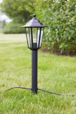 Garden 24 Pollare Svart 56 cm