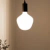 Opal Ljuskälla Vit E27 5W LED Dimbar