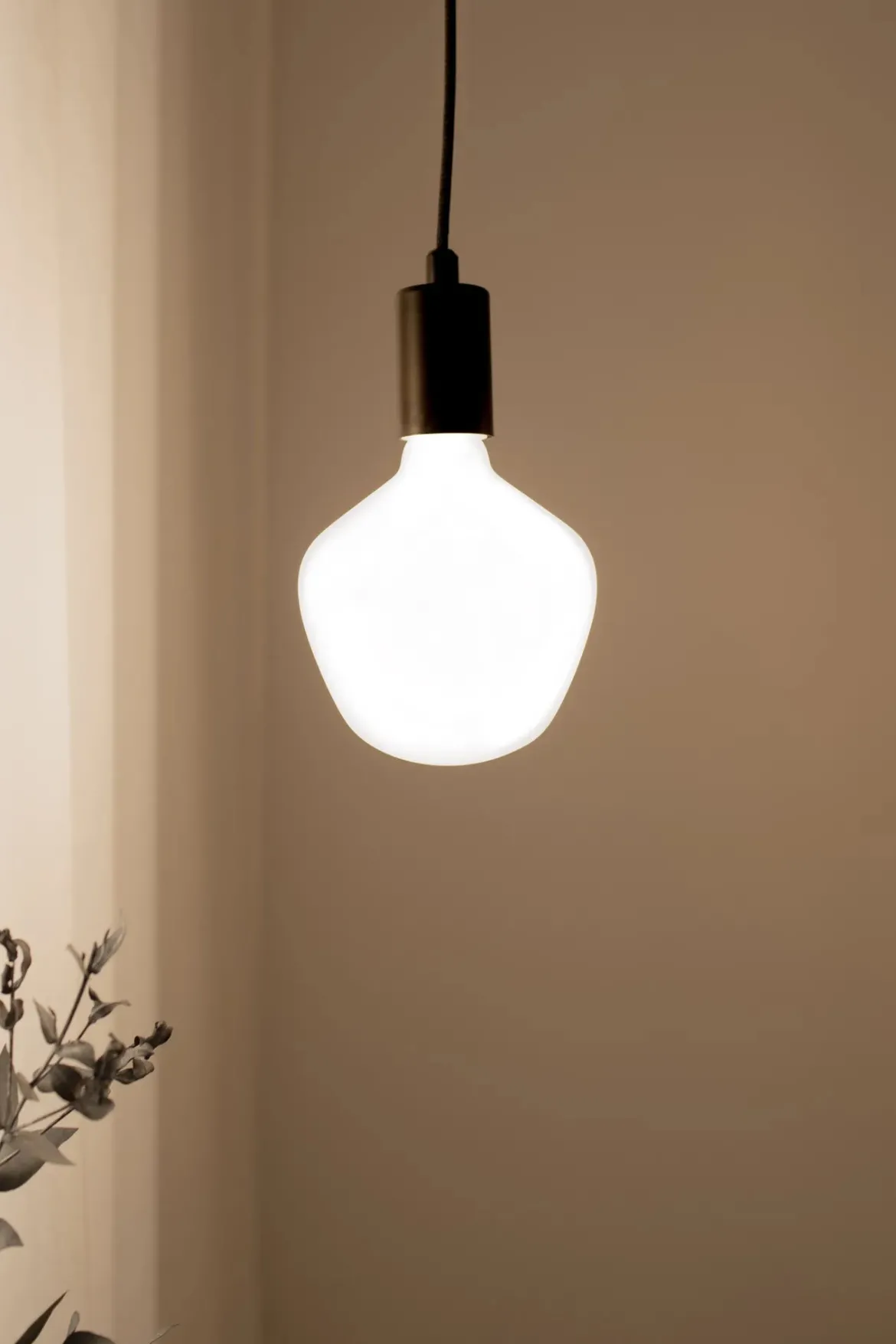Opal Ljuskälla Vit E27 5W LED Dimbar