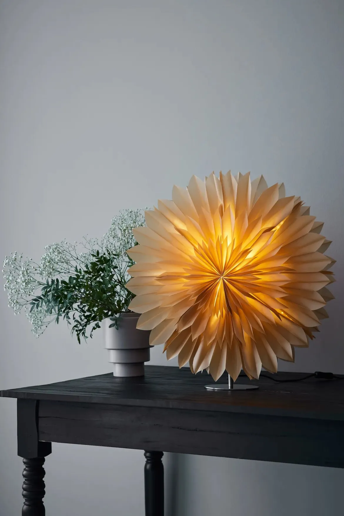 Solina Bordsstjärna Nougat 60 cm